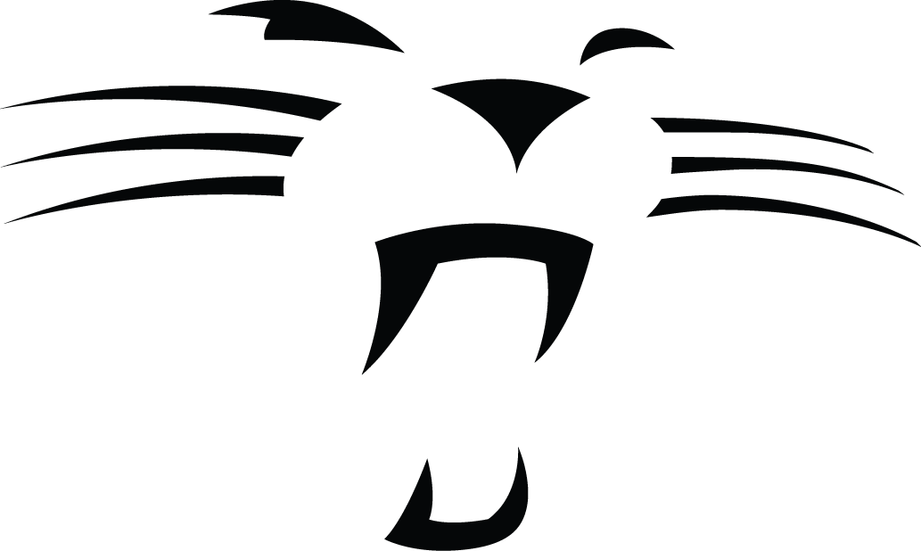Carolina Panthers 2012-Pres Alternate Logo v2 DIY iron on transfer (heat transfer)